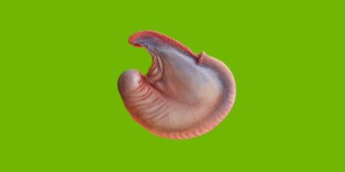 Ůֱuƨëf^